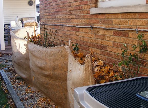 Winter pots photo 2013_11300006_zps1c85d433.jpg